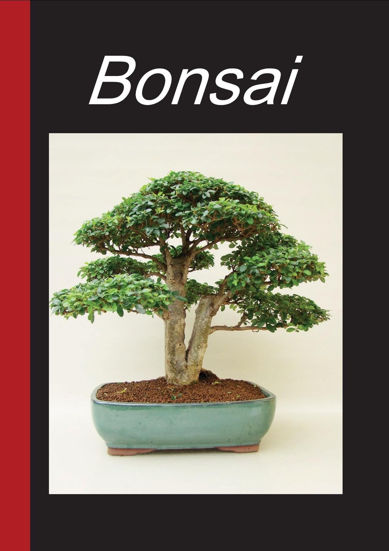 ghibli bonsai fountains Official Ghibli Totoro Water Garden/Fountain • My Neighbor Totoro Bons –  Kamaji Market
