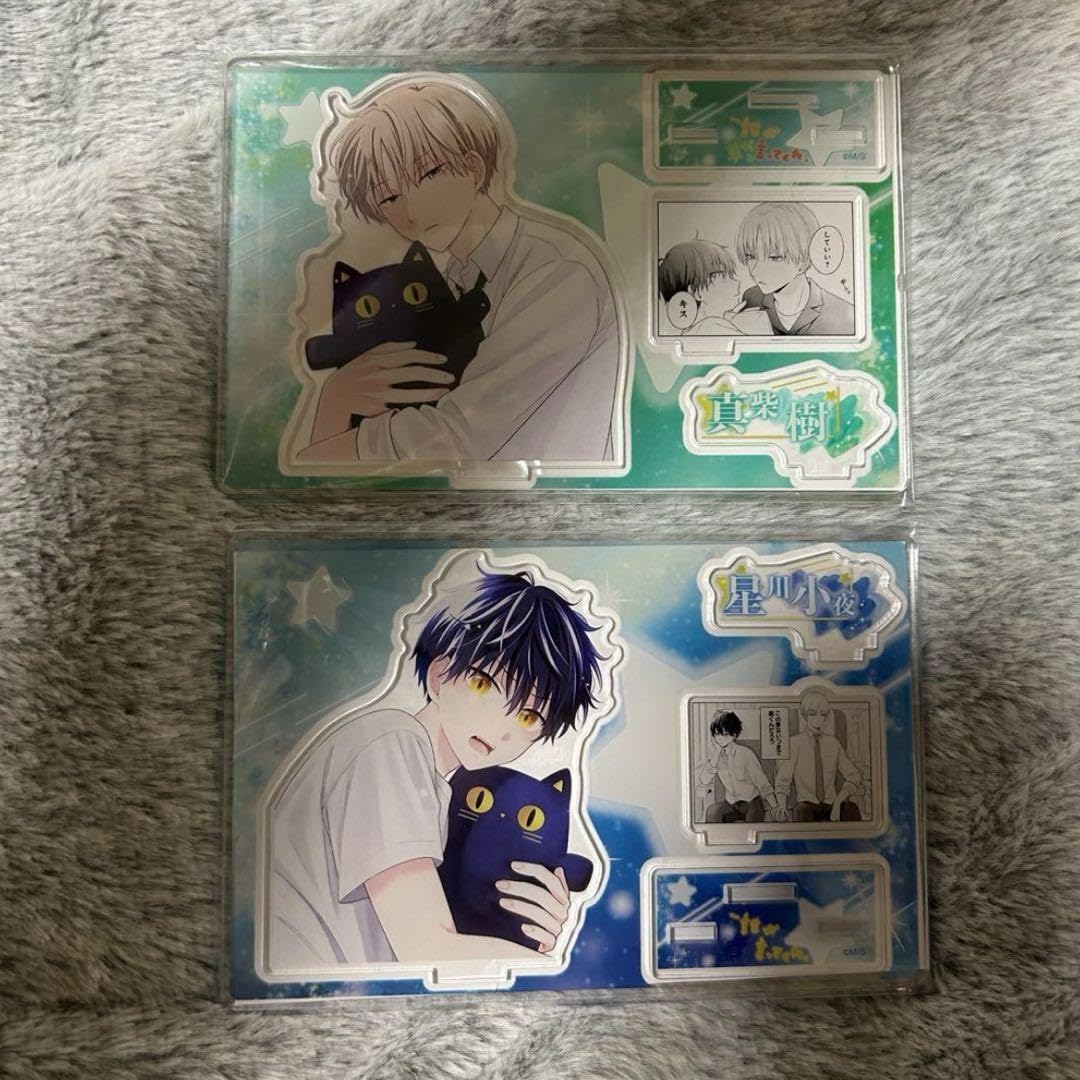 誰か夢だと言ってくれ　アクリルスタンド　限定　真柴樹　星川小夜 誰か夢だと言ってくれ アクリルスタンド 真柴 晴人＆朝日奈 雨竜