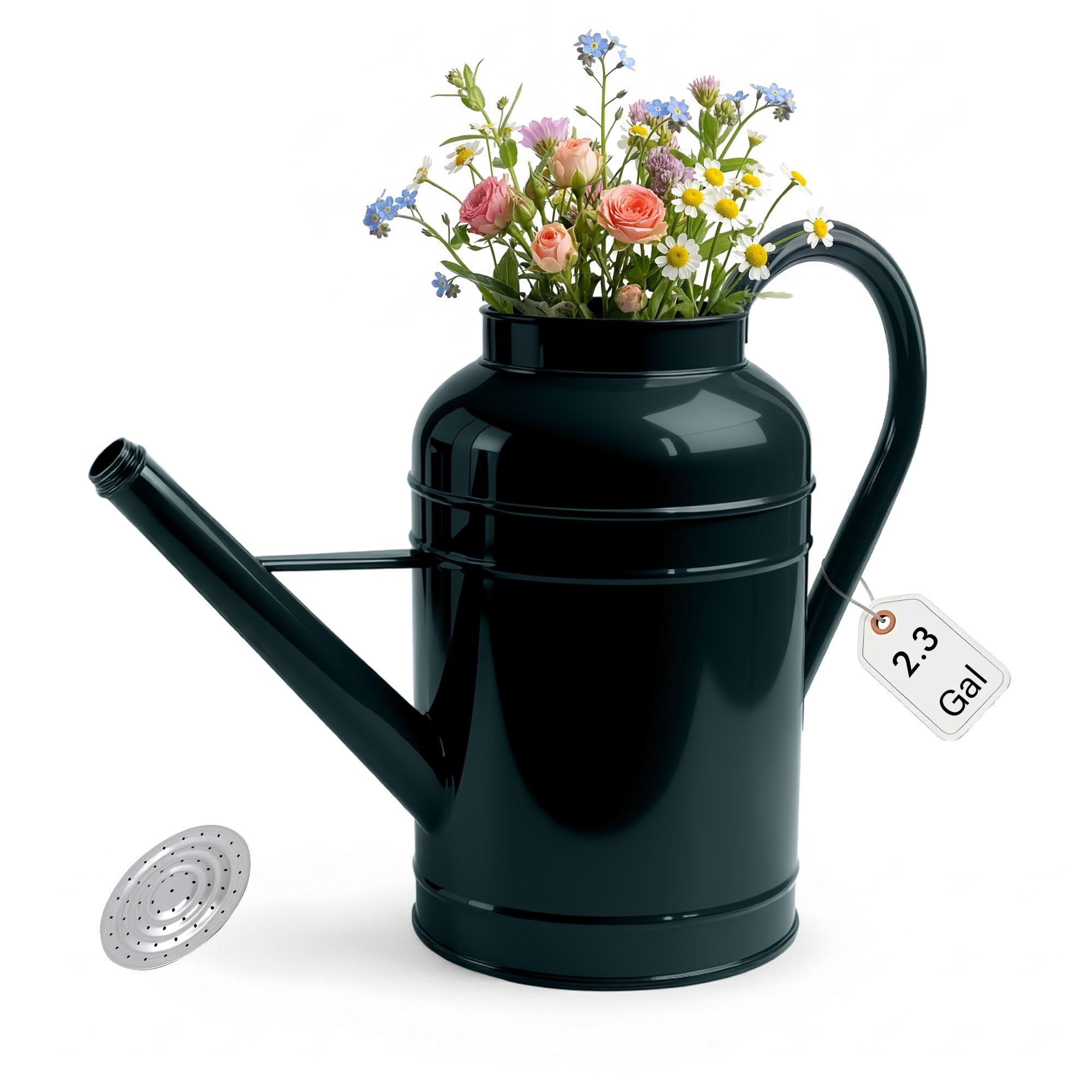 Arrosoir en métal galvanisé de 8,7 l pour plantes d'extérieur avec long bec amovible doré