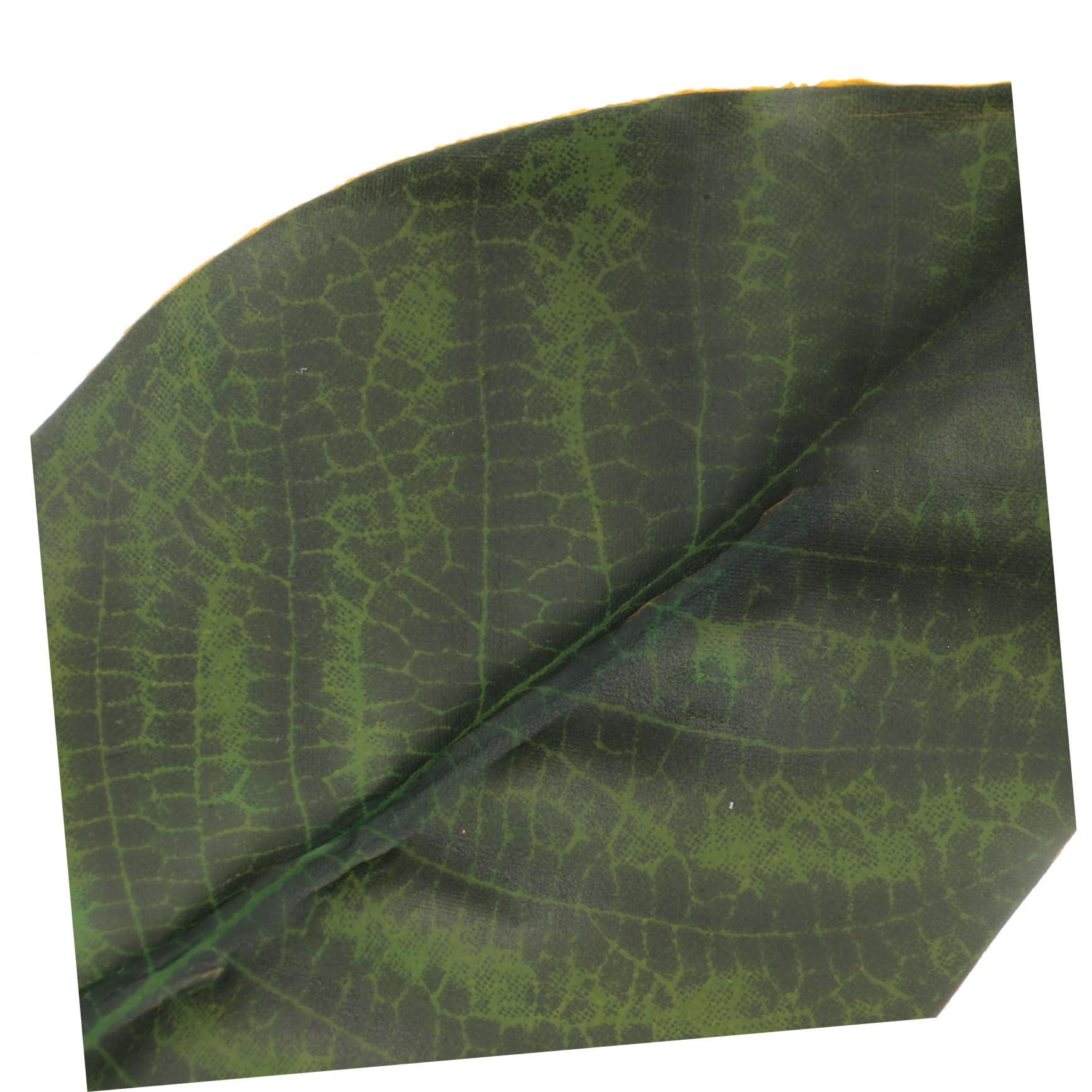 Cabilock 3 Set Di Foglie Di Magnolia Finte Foglie Artificiali Allingrosso Per Decorazioni E Composizioni Floreali 30 Pezzi * 3