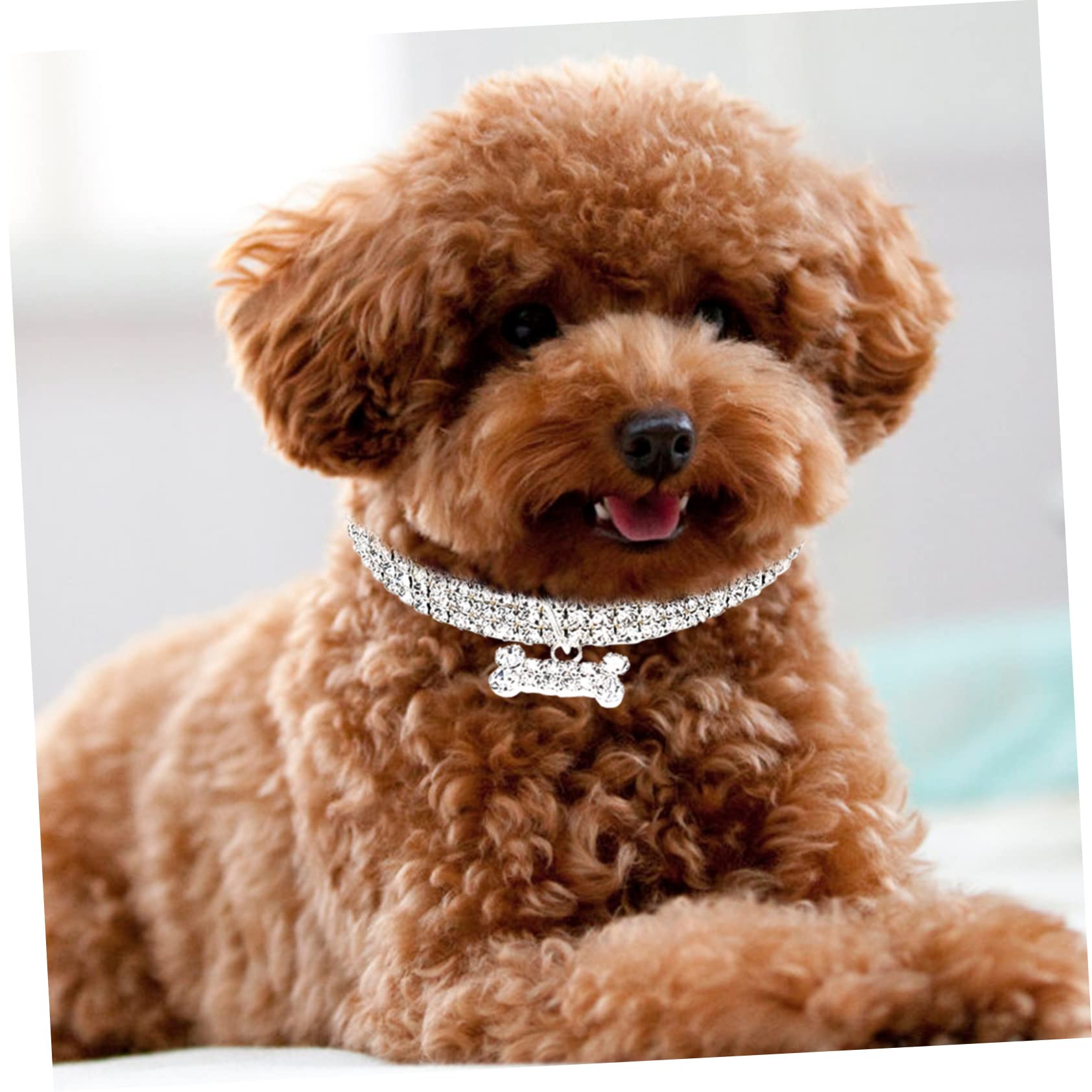 Didiseaon 9pezzi Collane Decorative Per Cani e Gatti Rhinestone Da Collari Regolabili e Resistenti Per Animali Domestici Accessori Eleganti e Confortevoli Per Fido e Micio