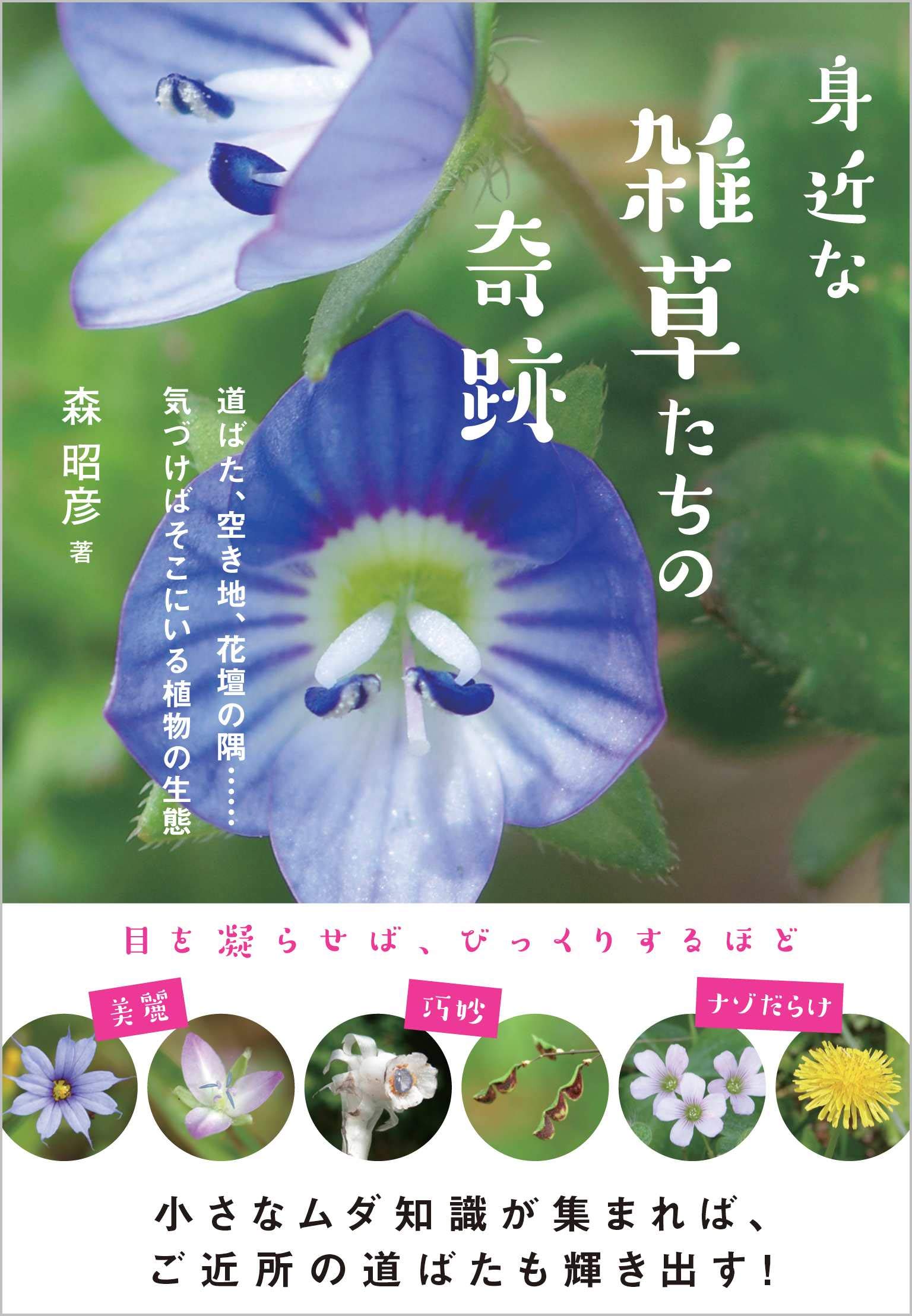 身近な雑草たちの奇跡 道ばた、空き地、花壇の隅……気づけばそこにいる