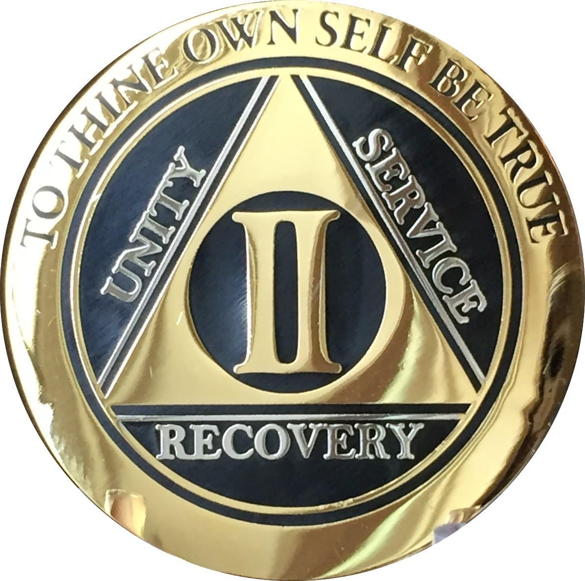 RecoveryChip 2 Year AA Medallion Elegant Black Gold Silver Bi-Plated Alcoholics Anonymous Chip
