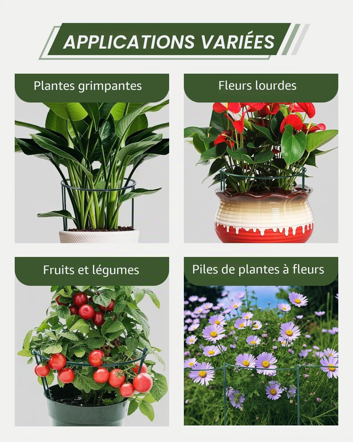 Supports de Plantes de Jardin 25x40cm, SproutMaven Lot de 10 Tuteurs pour Plantes de Jardin en Métal Demi-Rond, Cages à Anneaux de Support de Plantes pour Plantes D'extérieur et D'intérieur