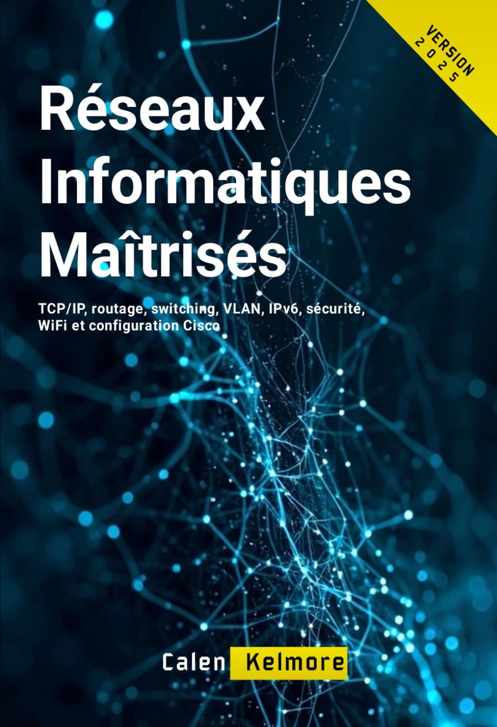 Réseaux Informatiques Maîtrisés: TCP/IP, routage, switching, VLAN, IPv6, sécurité, WiFi et configuration Cisco.