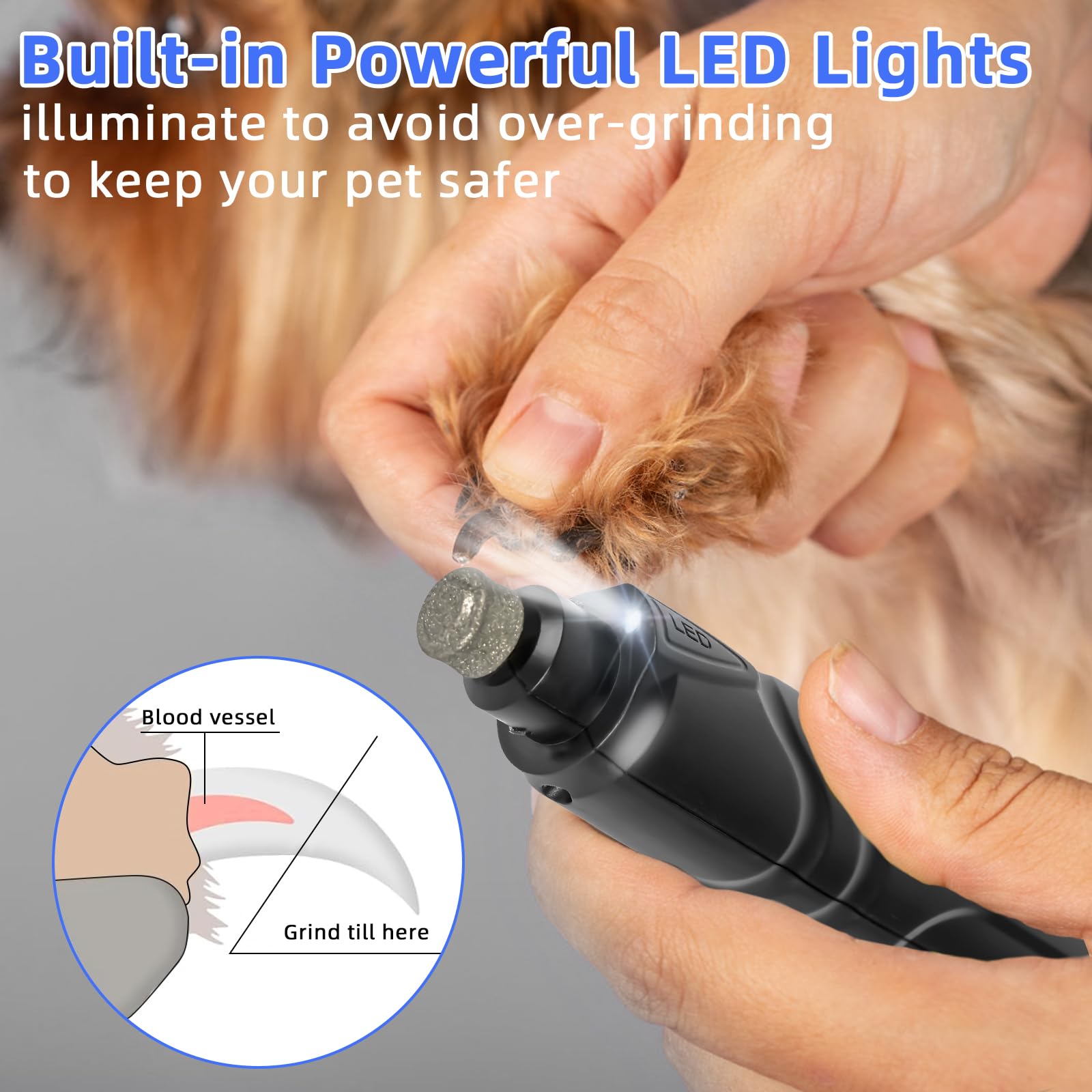 Lime à Ongles électrique Pour Chien Et Chat - Rechargeable USB, Lumière LED - 3 Embouts, 2 Vitesses - Silencieux