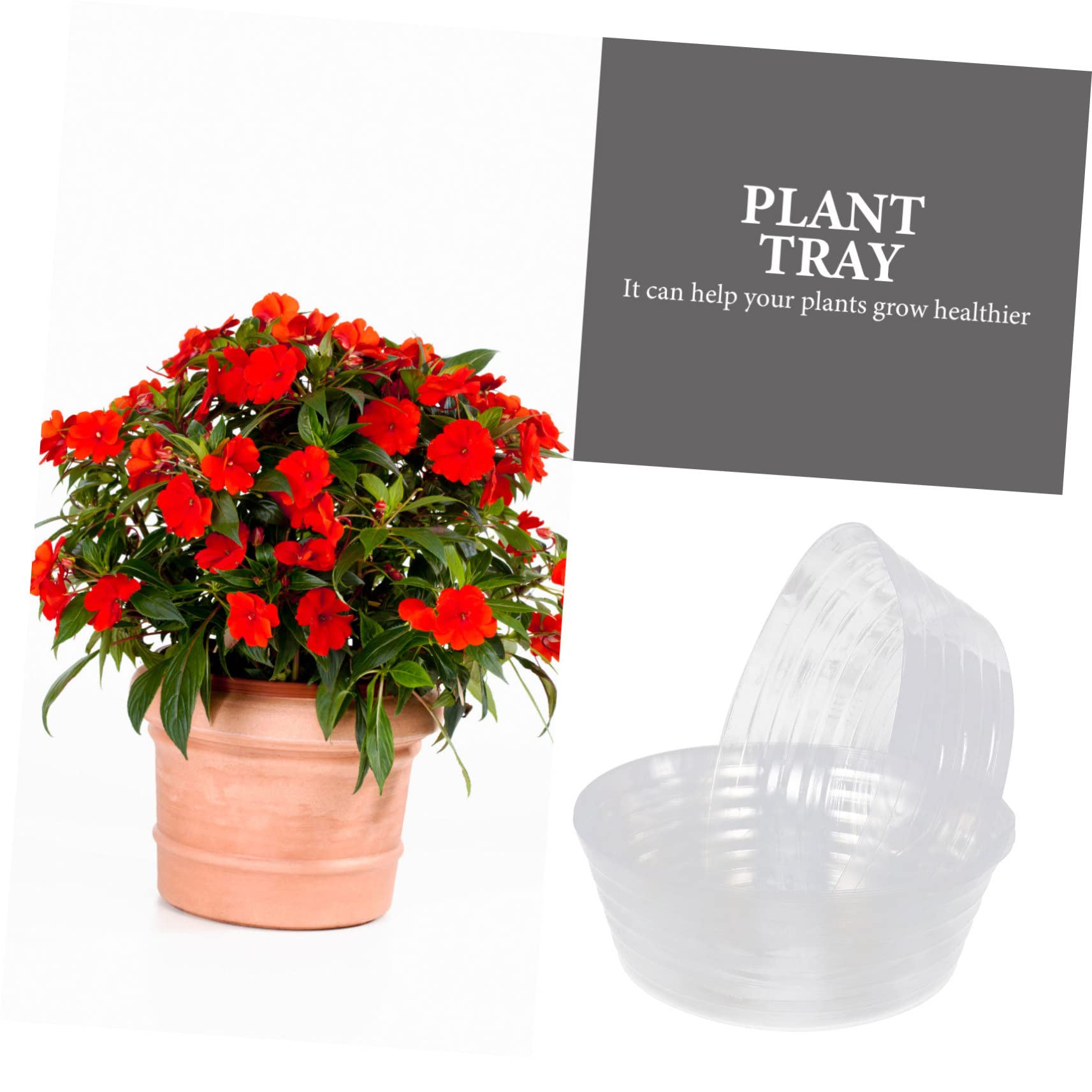 Transparente Bonsai Untersetzer für Blumentöpfe, Rund, 6 Stück