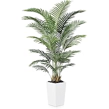 VeriNatural 6FT Artificial Palm Tree - Tall Fake Tree with White Taper Planter & Pebbles, UV Resistant for Indoor & Outdoor Decor - Large Potted Faux Plant for Living Room, Office, Home Decor,VN130
