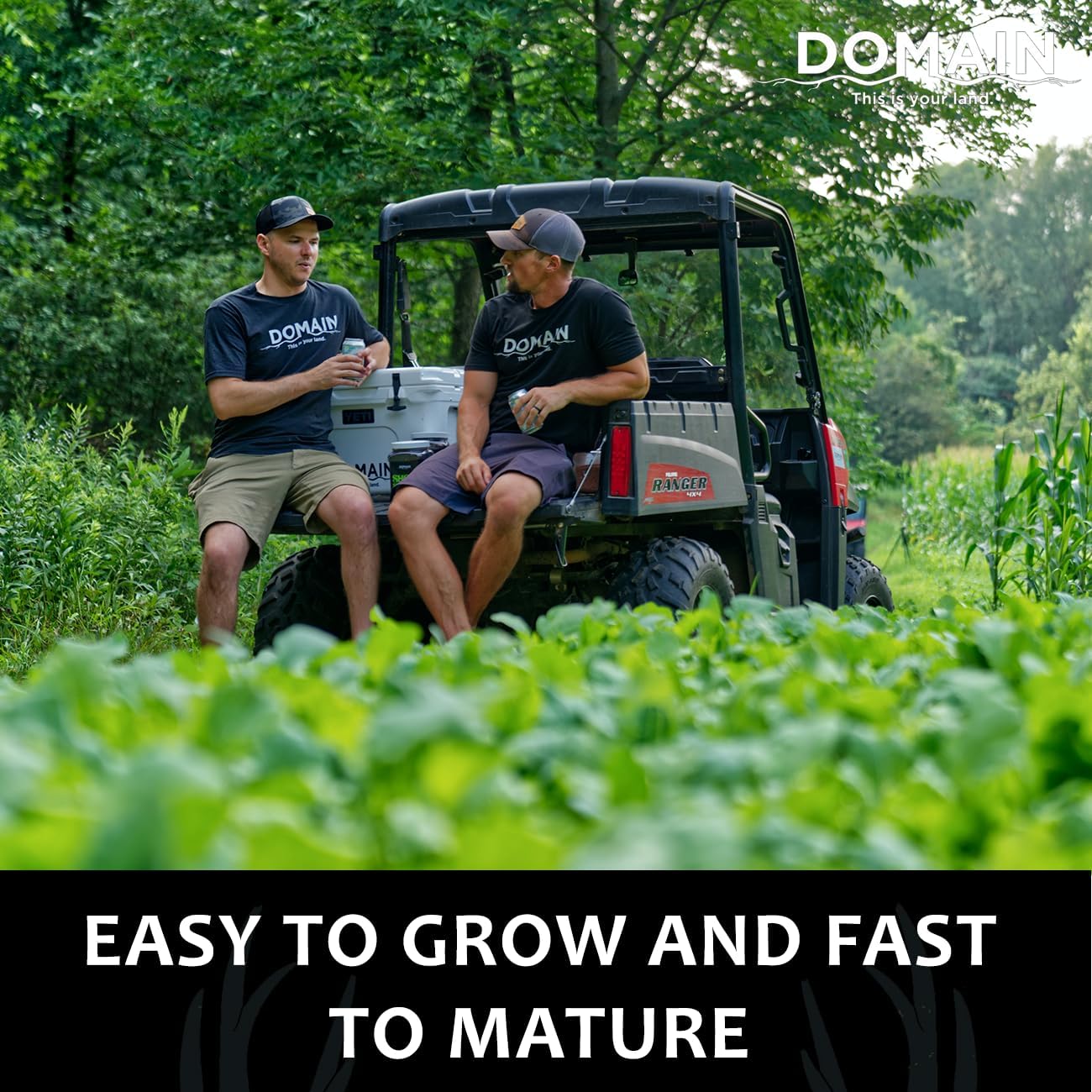 Domain Outdoor Smack Down Food Plot Seed, 1/2 Acre, Variety of Purple Top Turnip and Forage Turnip, Attractive Forages No Matter The Time of The Year, High Levels of Protein and Energy, Fast to Mature