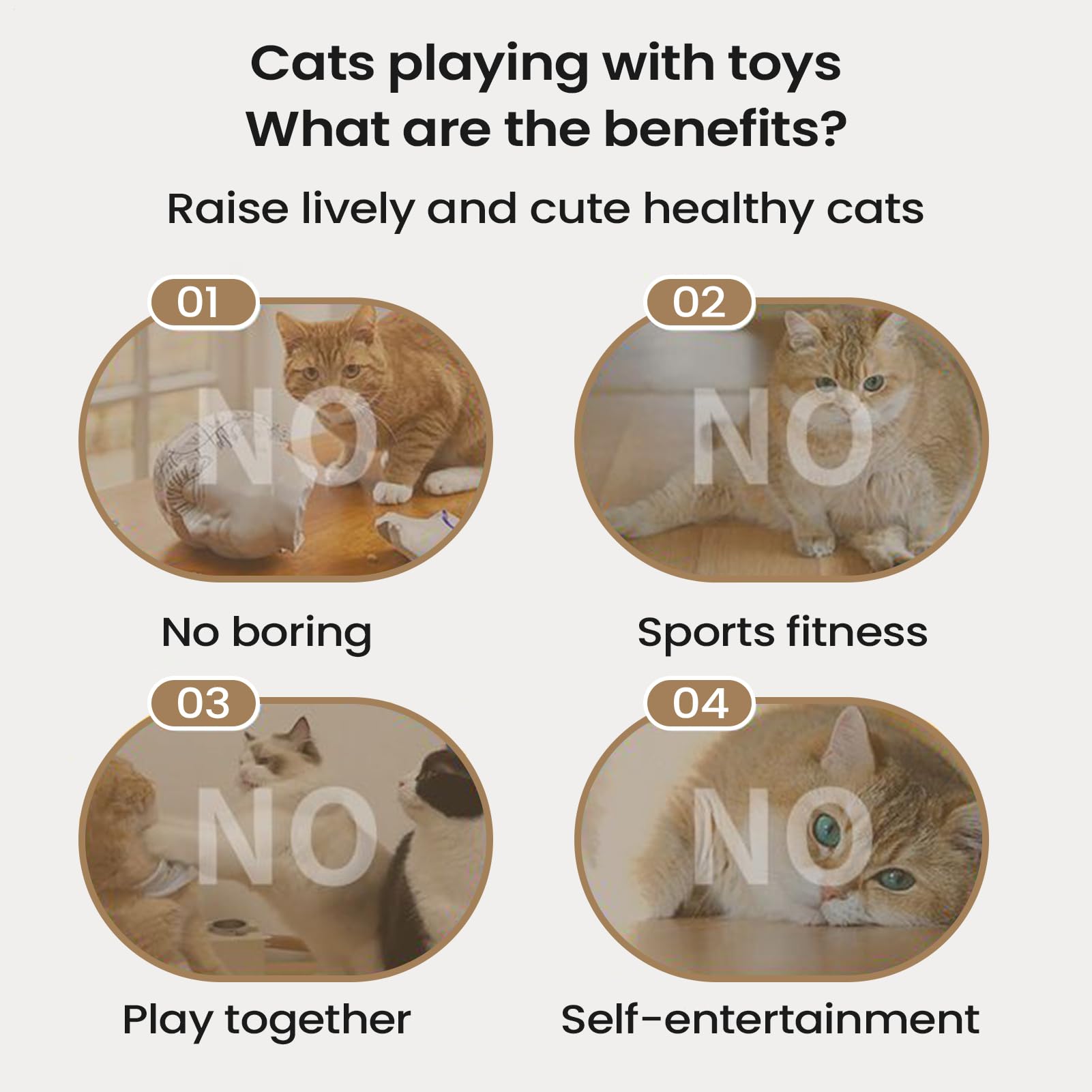 pour Chat Puzzle Interactif Design