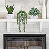 Product Photo 4