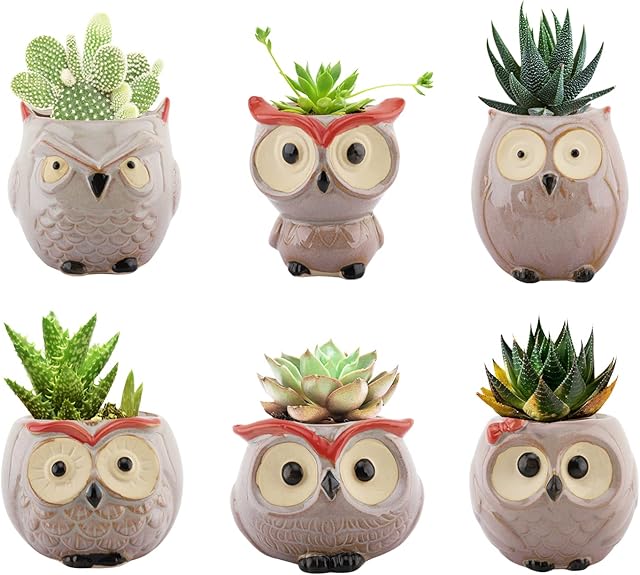 Lewondr Succulent Plant Pots, 6 PACK 2.5 Inch Mini Small Ceramic Owl Shaped Flower Pots with Drainage Holes, Flowerpots Planter Container Set for Home Office Desk Shelf Garden Patio Balcony Décor, 02