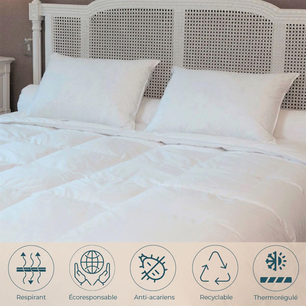 CASTEX - Oreiller Mi-Ferme Plume-Duvet 50x70
