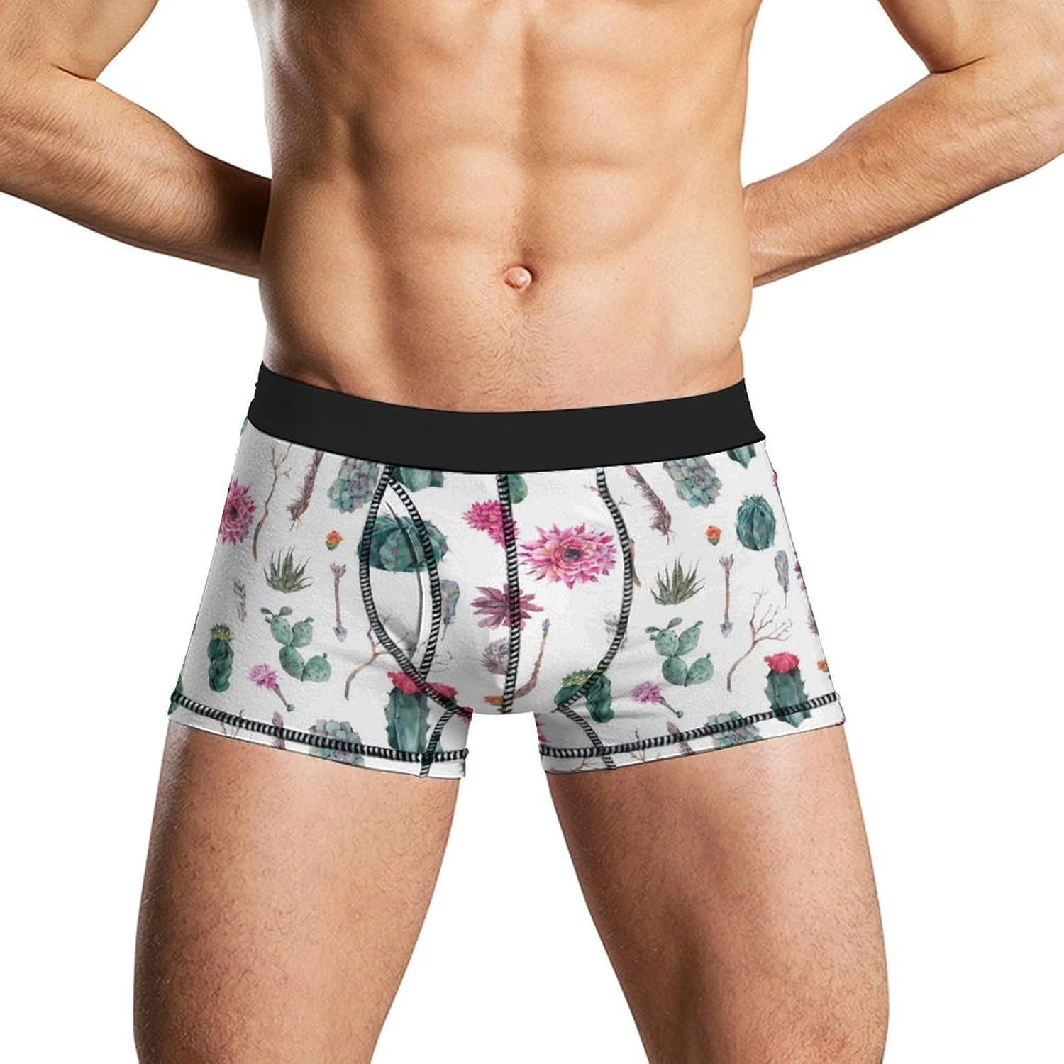 Cactus Decor Men's Boxer Briefs Novelty Underwear Trunks Short Underpants