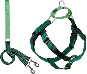 2 Hounds Design Freedom No Pull Dog Harness | Adjustable Gentle Comfortable Control for Easy Dog Walking |for Small Medium and Large Dogs | Made in USA | Leash Included | 5/8" SM Kelly Green