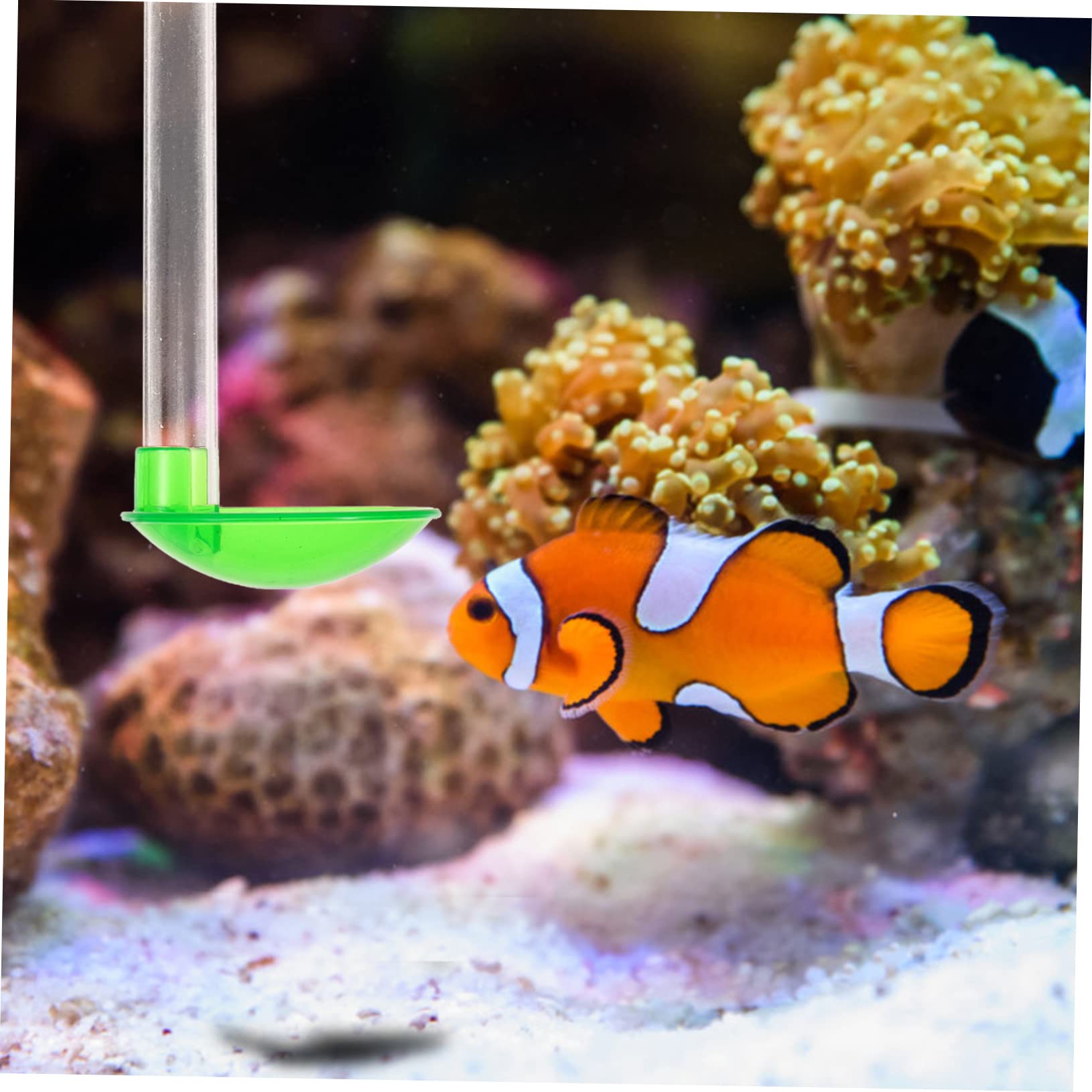 Kisangel 3juegos Alimentador De Camarones y Peces para Acuario Comedero De Pared Diseño De Tubo para Alimentos para Gamba y Peces Tropicales Fácil Instalación y Limpieza De Longitud