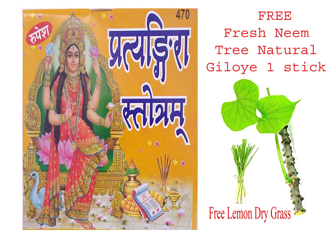 Sri Pratyangira Stotra Bhasha Teeka Sahit Book Code 470 With Free Natural Giloye One Stick + Dry Lemon Grass Paperback – 31 July 2021