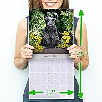 Vista 853 de Razas de Perros 2017