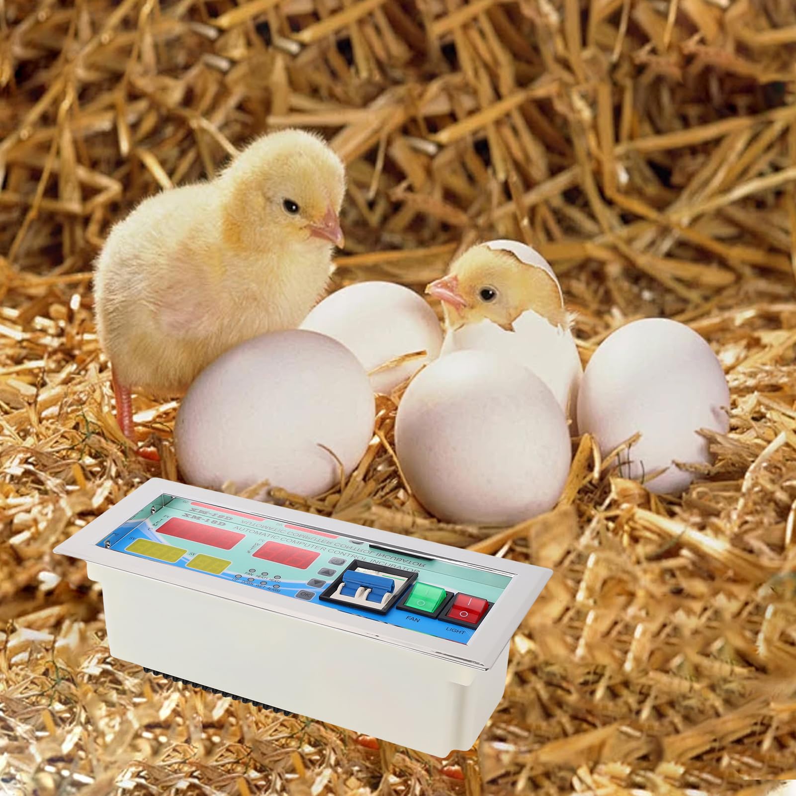 Jeffergarden Digitales Thermostat-Hygrometer für Eierbrutkasten ABS-Material Großer Bildschirm Automatische Temperatur- und Luftfeuchtigkeitsregelung für Geflügelzucht