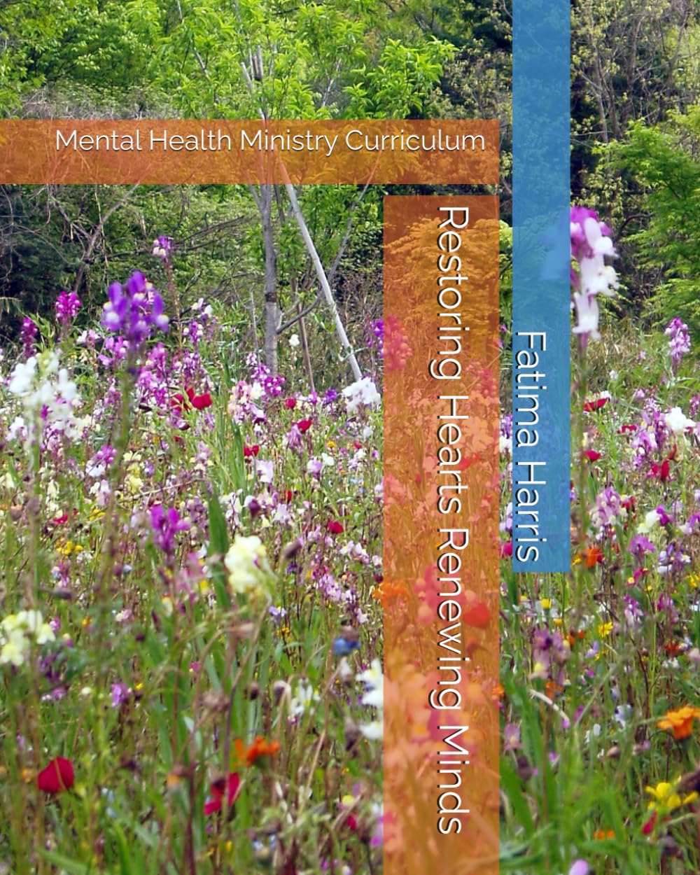 Restoring Hearts Renewing Minds: Mental Health Ministry Curriculum