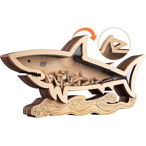 Shark Tooth Display Case 8.7 Inch,Wooden Shark Tooth Holder,Wood Shark