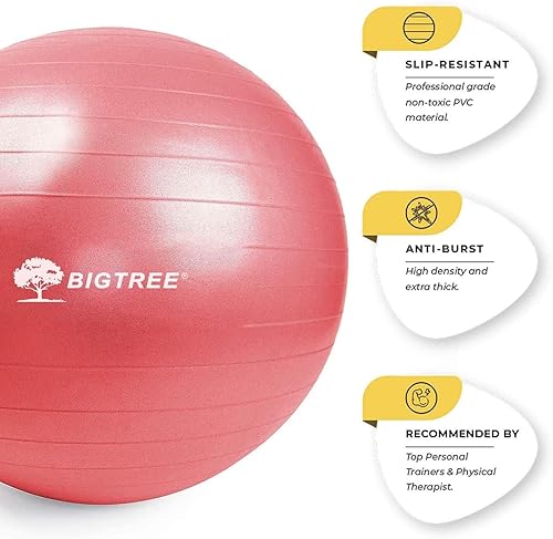 Miniatura 2 de Bola de ejercicio, pelota de yoga, equilibrio de pilates, antiexplosión con bomba, estabilidad, pelota de fitness, silla de parto para