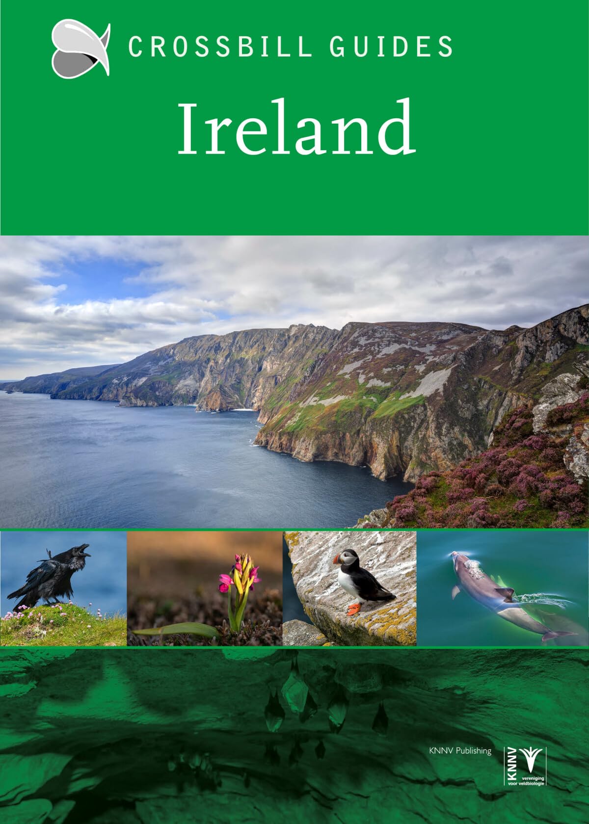 Ireland:: Crossbill Guides