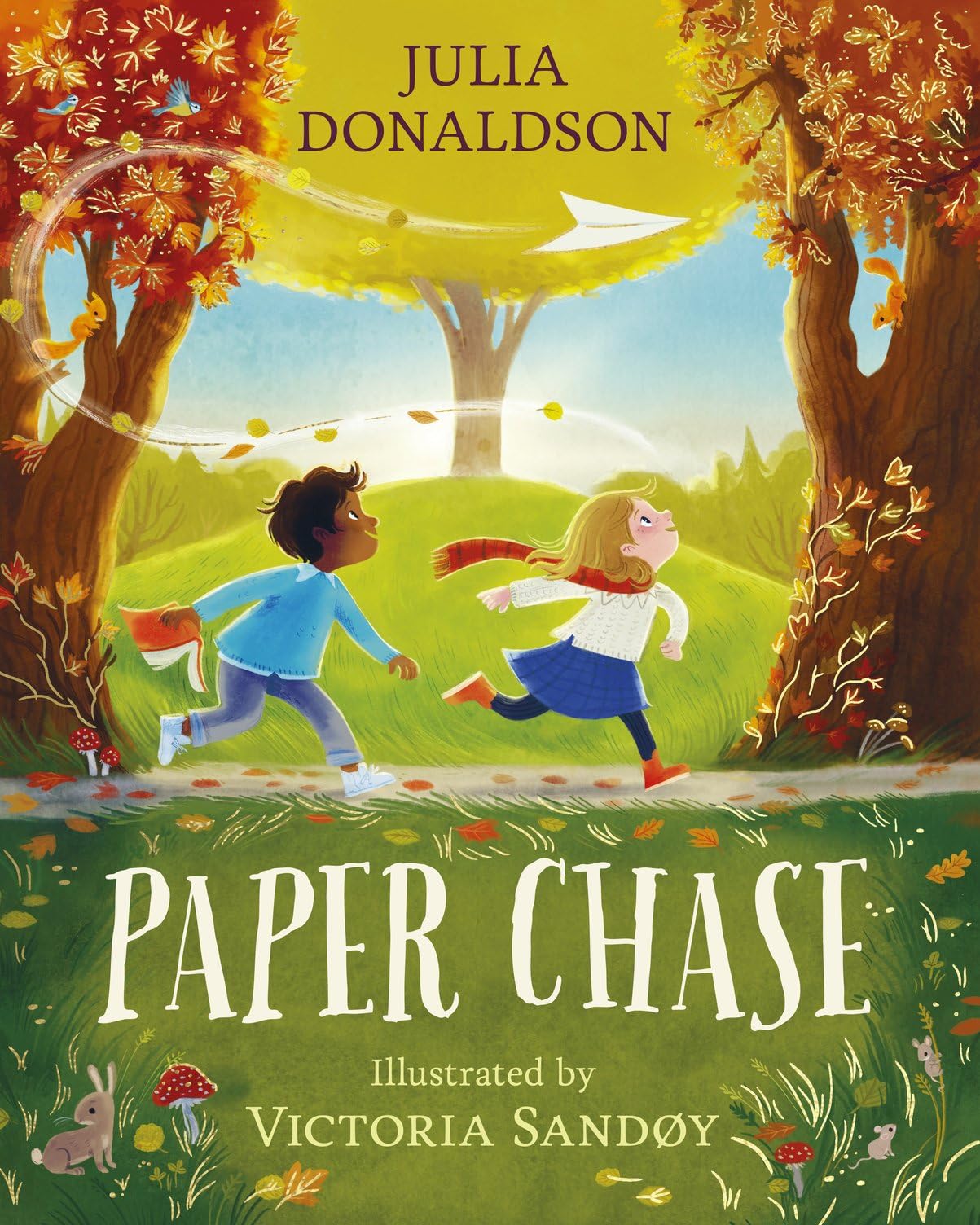Paper Chase: a captivating story of friendship by Julia Donaldson, author of The Gruffalo and Stick Man