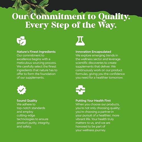 Miniatura 7 de Suplemento de memoria nootrópico para apoyo cerebral – Píldoras de memoria para el refuerzo cerebral y refuerzo de energía natural – Vitamina B 12