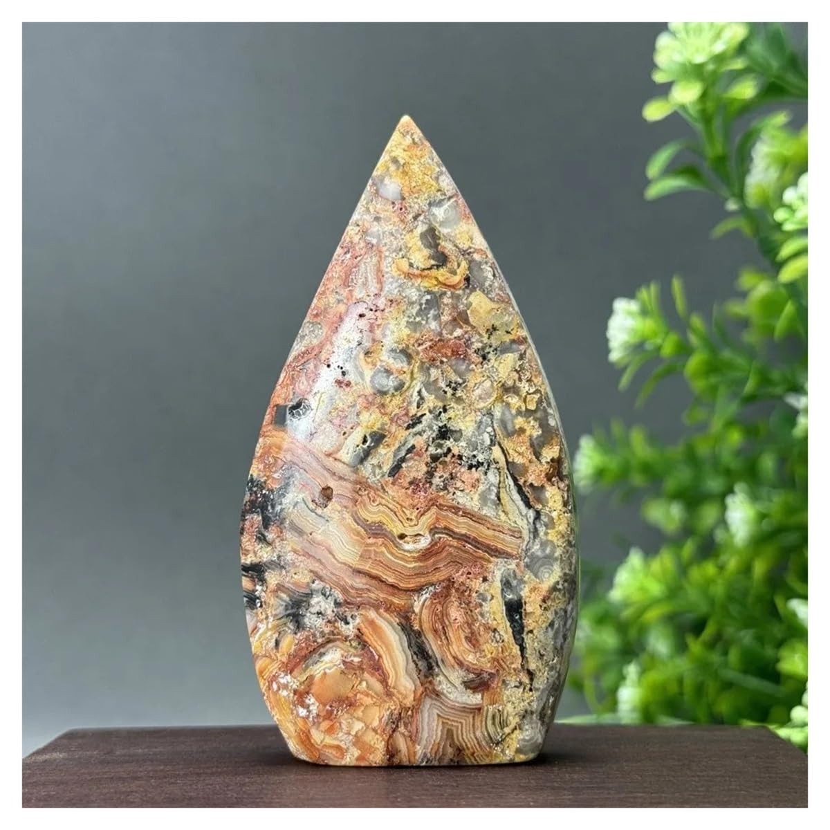 Ágata loca natural de 88g forma libre ideal para decoración exclusiva