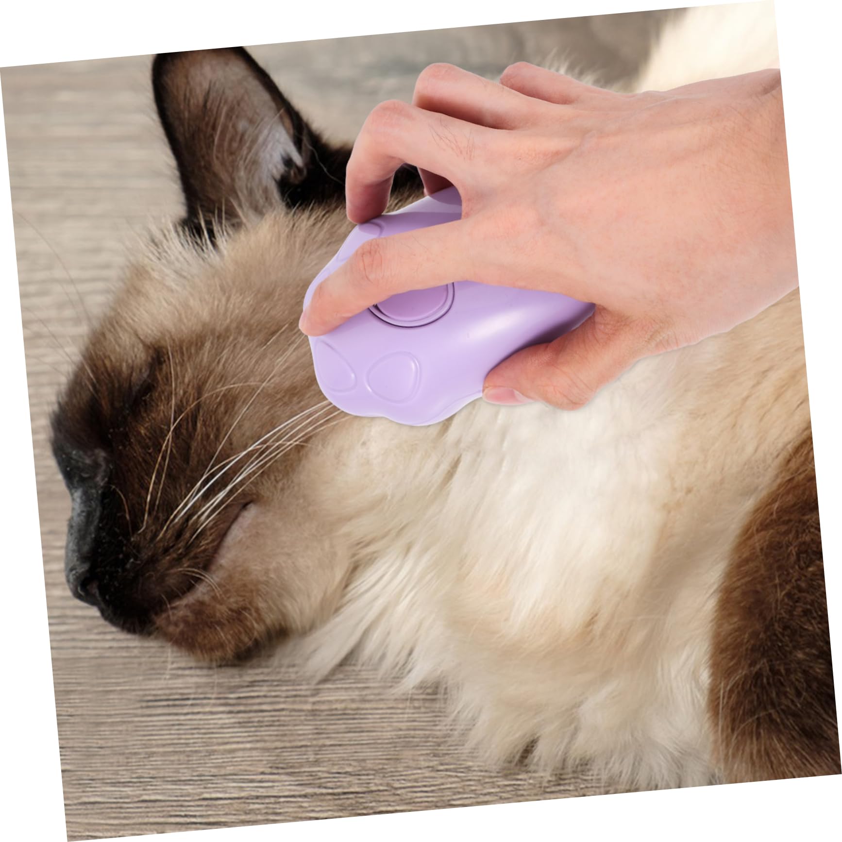 INOOMP 5pièces Brosse à Vapeur Pour Chat Brosse Auto-nettoyante Massage Pour Toilettage Relaxant Et Couleur Violette