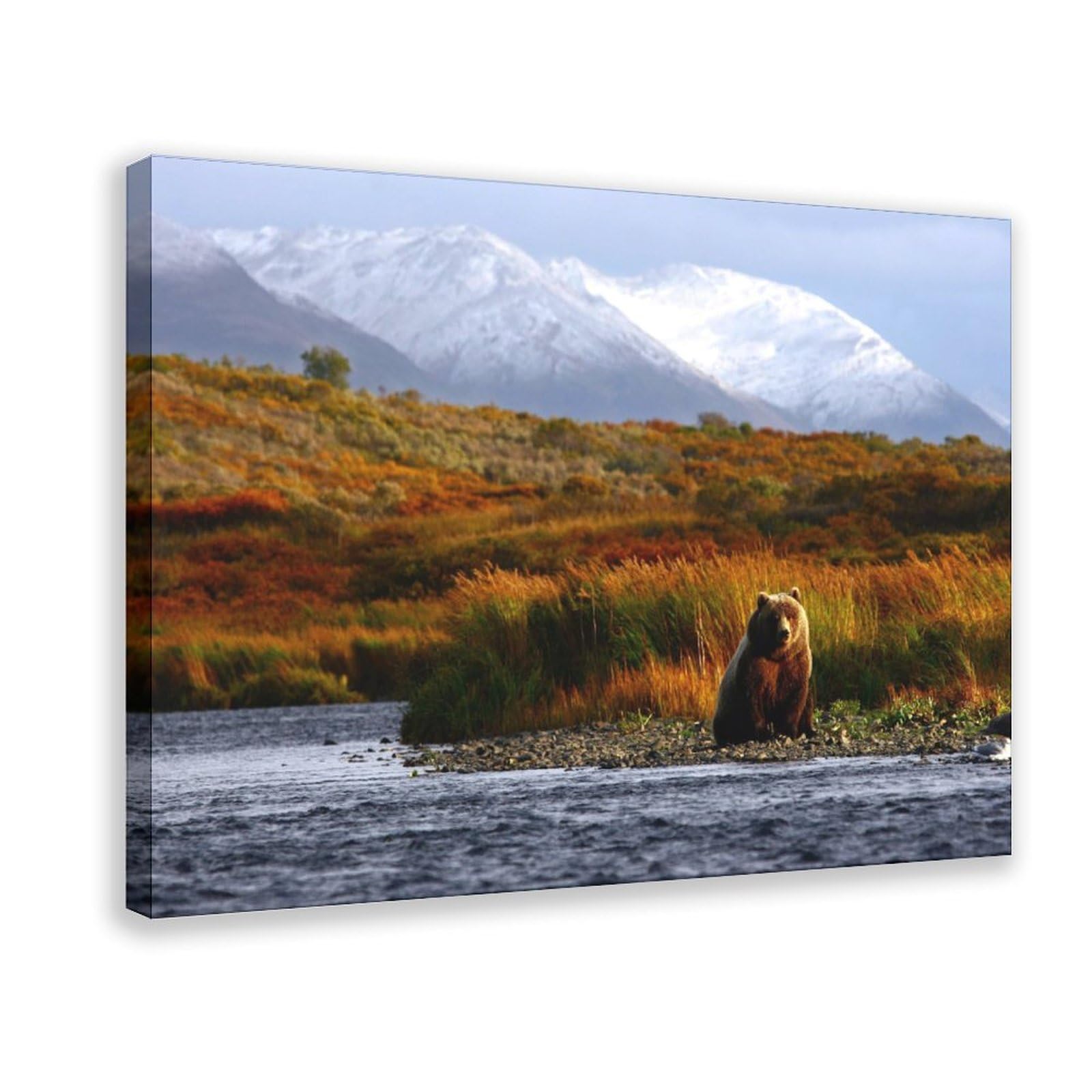 XAHOR Kodiak Brown Bear Canvas Print – Alaska Wildlife Art, Kodiak Archipelago Wilderness, Mountain Nature Wall Decor Canvas Posters Wall Art Bedroom Office Room Decor Gift 24x36inch(60x90cm)