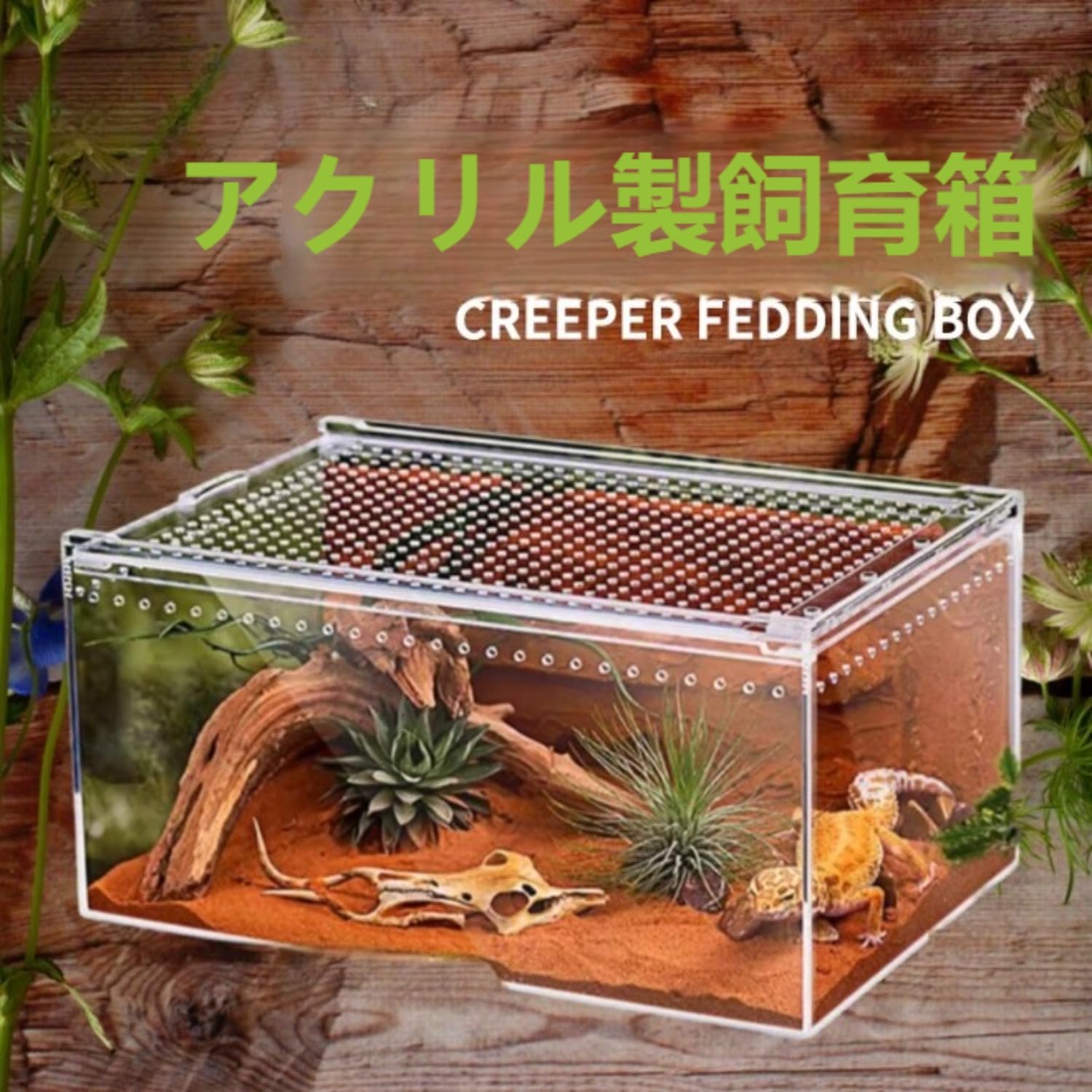 Amazon | Vilom アクリル製 XLサイズ 爬虫類ケージ 両生類飼育ボックス