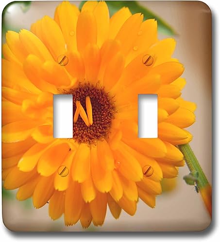 3d Rose LSP _ _ _ _ _ _ _ _ _ _ 229510 _ _ _ _ _ _ _ _ _ _ 2 Fallen pétalos Tierra en el centro de este Caléndula doble Toggle Switch