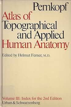 洋書 PERNKOPF Atlas of Topographical and Pernkopf Anatomy, Vol. 2: Atlas of Topographic and Applied