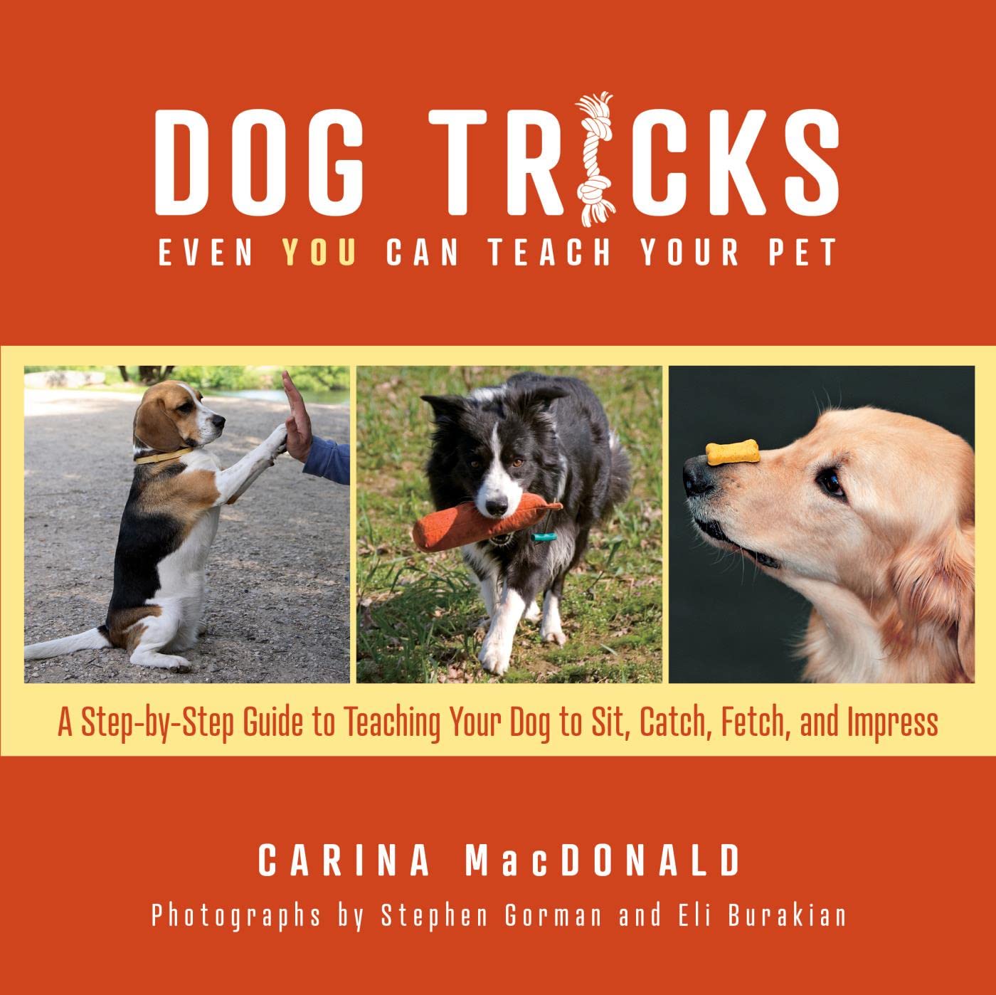 Knack Dog Tricks: A Step-By-Step Guide To Teaching Your Pet To Sit, Catch, Fetch, & Impress (Knack: Make It Easy)