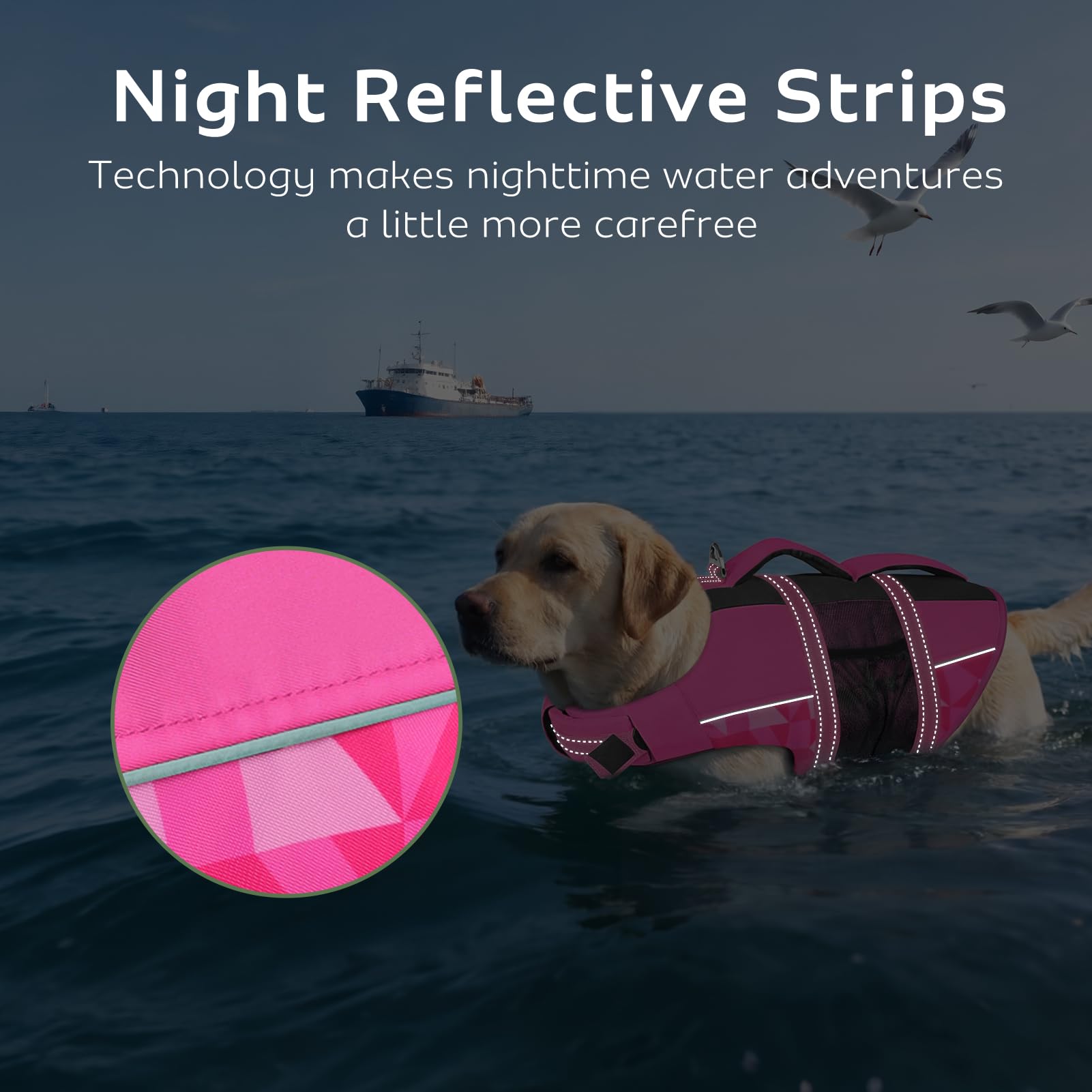 CITÉTOILE Chalecos Aalvavidas para Perros, Flotador Ajustable para Mascotas con Asa, Traje de Baño de Seguridad para el Agua para Navegar en la Piscina de la Playa, Rosa, XS
