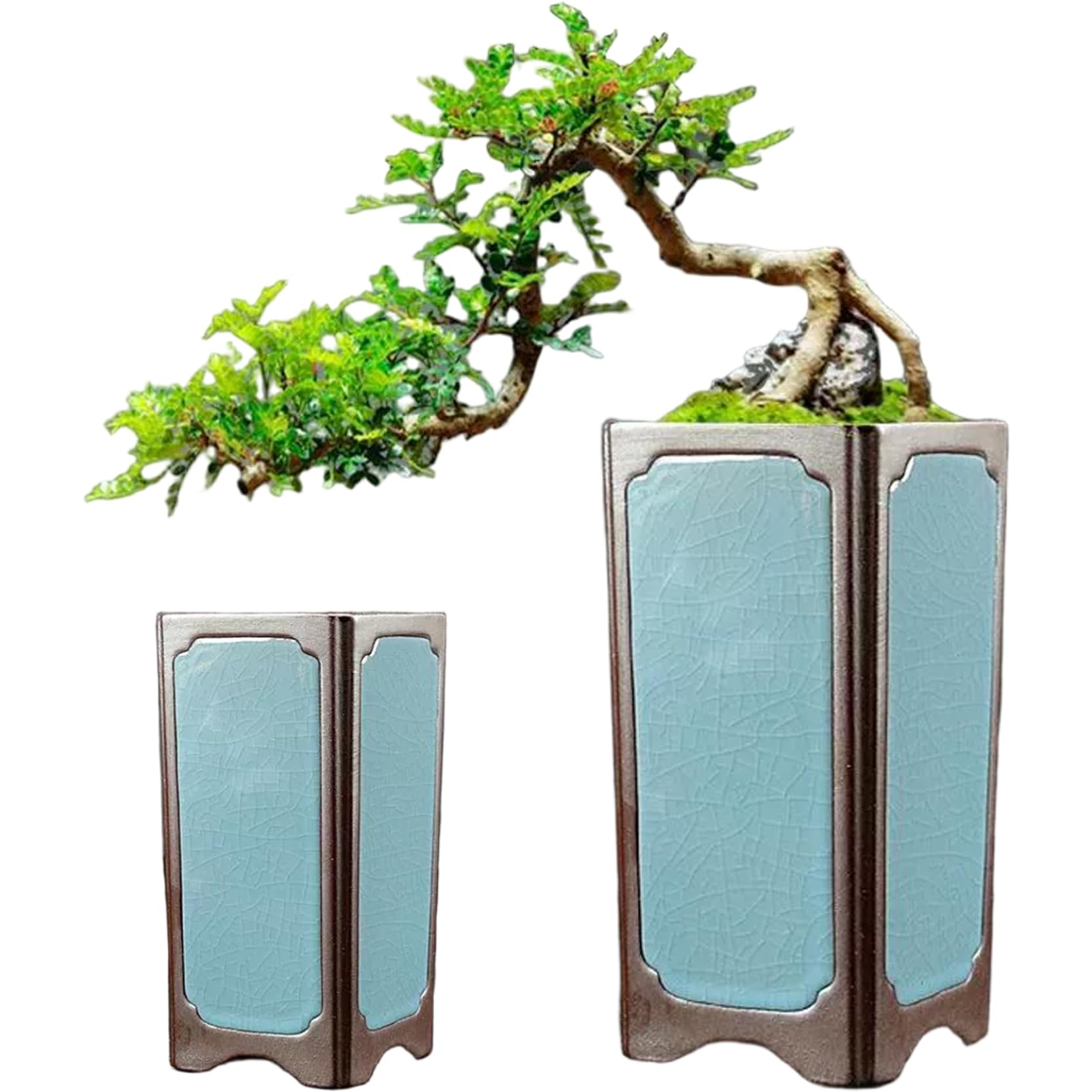 Pot de plante en céramique anti pourrissement, jardinière percée bonsaï