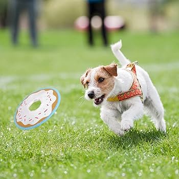 Funny DIAMOND☆DOGS Wow Diamond Doges - Diamond Dogs, HD Png Download - 800x546