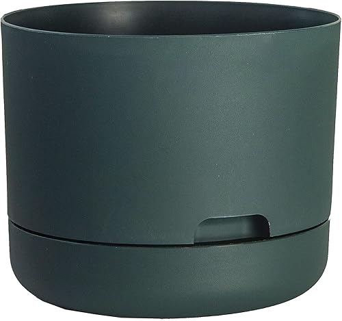 Miniatura 7 de Rugg Maceta redonda de autorriego con platillo integrado, maceta de polirresina resistente a los rayos UV, 12 pulgadas (capuchino)