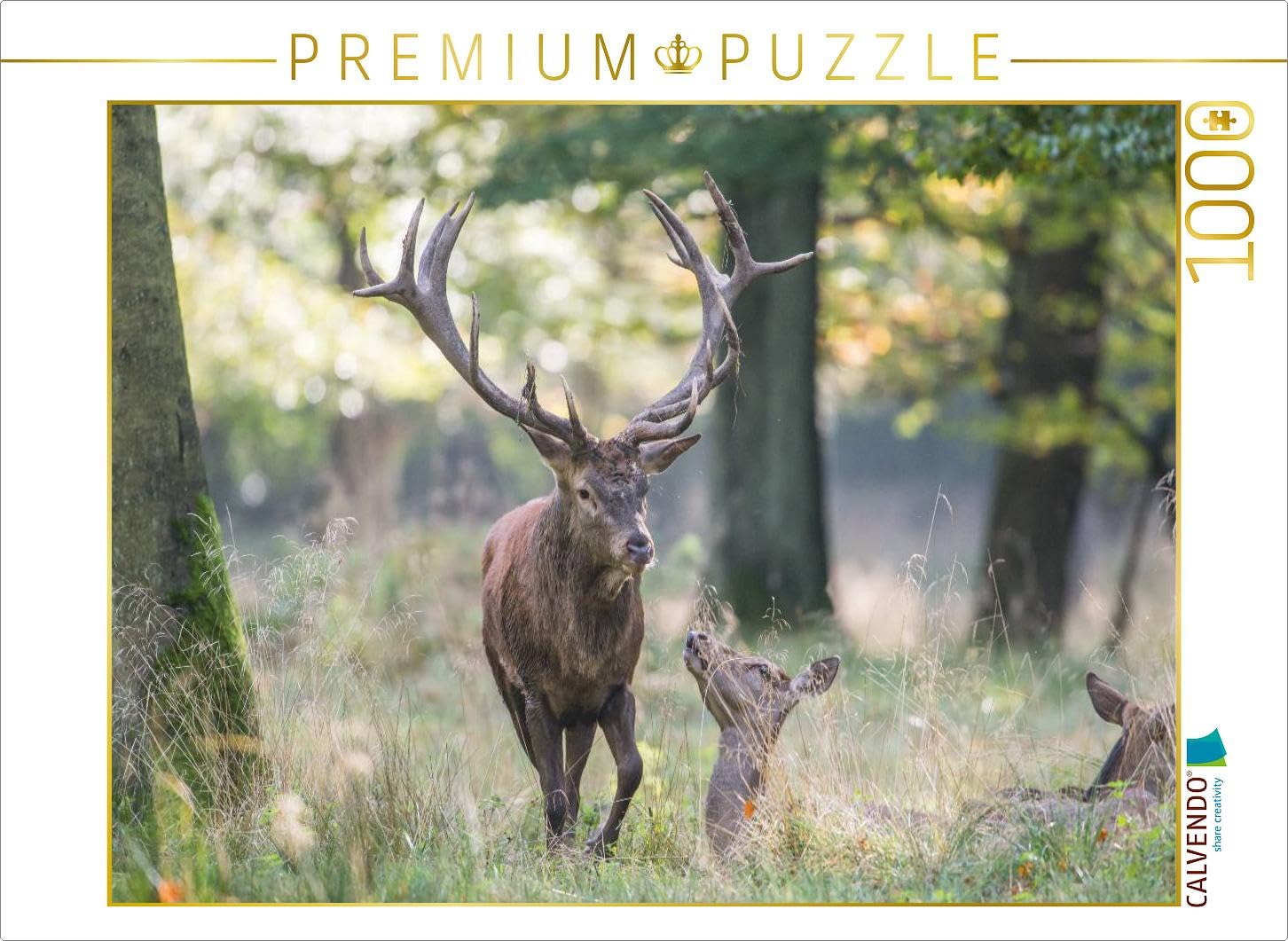 CALVENDO Puzzle Momenti Emotivi: Cervo brunt. Parte III. 1000 pezzi Lege-Dimensioni 64 x 48 cm Foto Puzzle Immagine di Ingo Gerlach