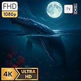 tvstreamwave