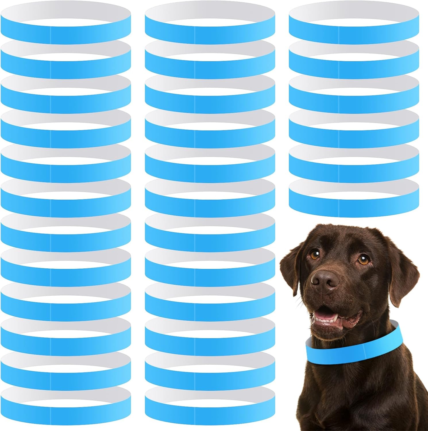 500 Count 20inch Adjustable Paper Dog Collars with Tear Resistant Waterproof Whelping Collars Paper Puppy ID Bands Adhesive Pet Identification Tags for Newborn Dog Cat Hospitals(White)
