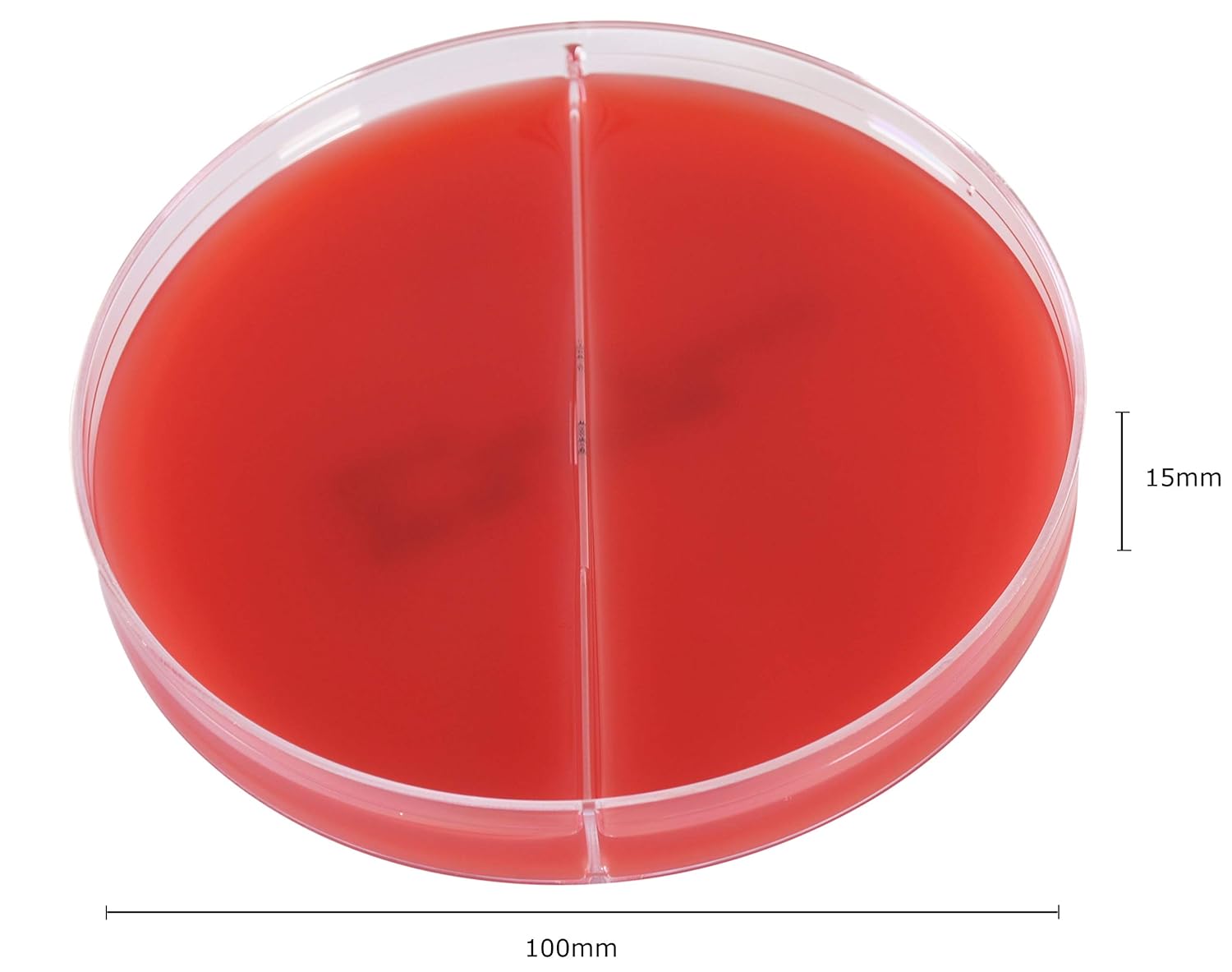 Blood Agar, 5 Percent/Blood Agar, 5 Percent, 15x100mm Biplate, Order by The Package of 10, by Hardy Diagnostics
