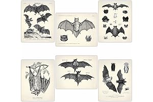 Vintage Halloween Portraits for Wall