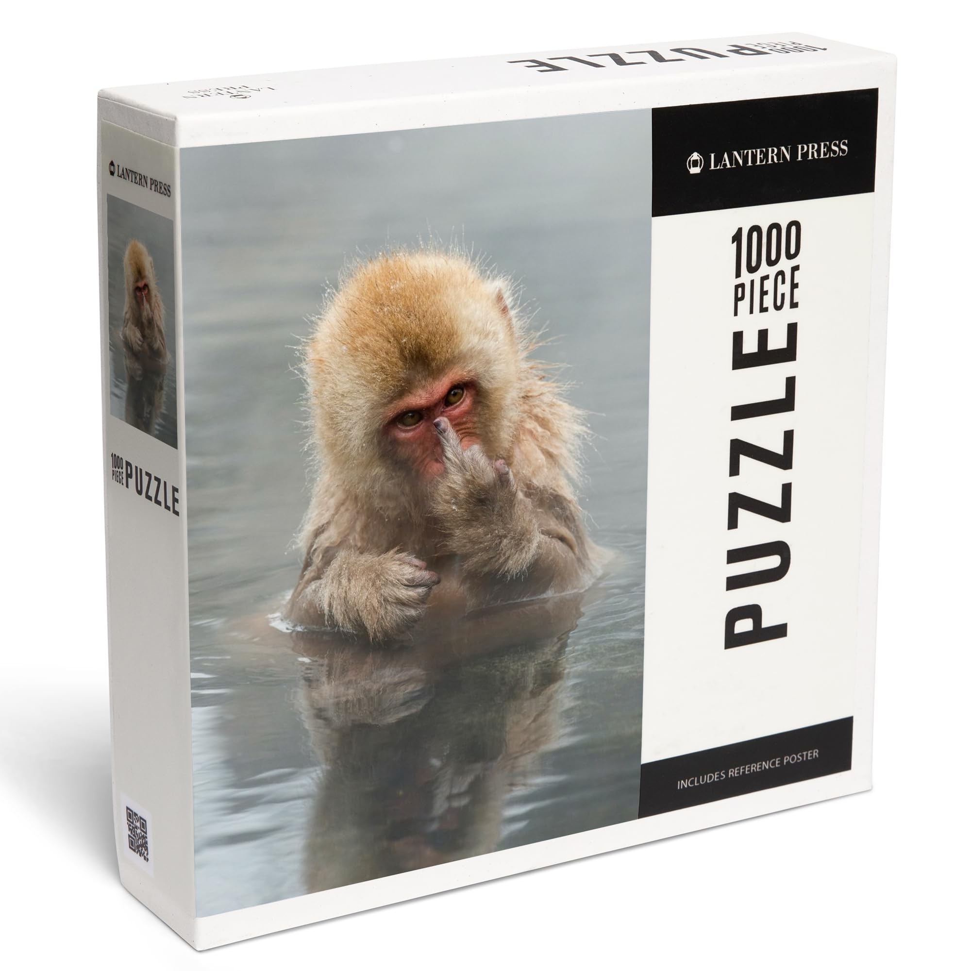 Amazon.com: Lantern Press Puzzle Japanese Macaque Monkey Showing