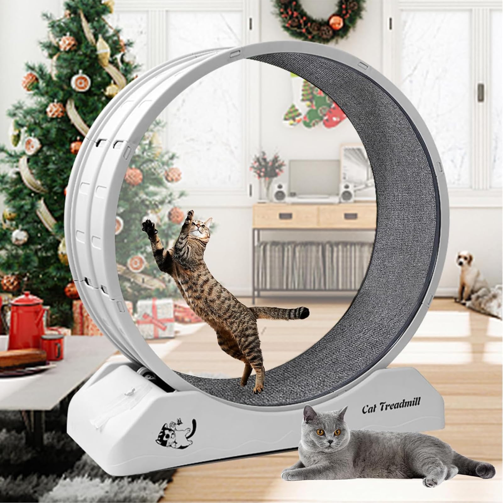 LIODUX Cat Exercise Wheel, Quiet Operation Cat Treadmill, 80CM Cat Exercise Running Wheel with Locking Mechanism, Indoor Cats Running Wheel for Cats Daily Exercise and Weight Loss