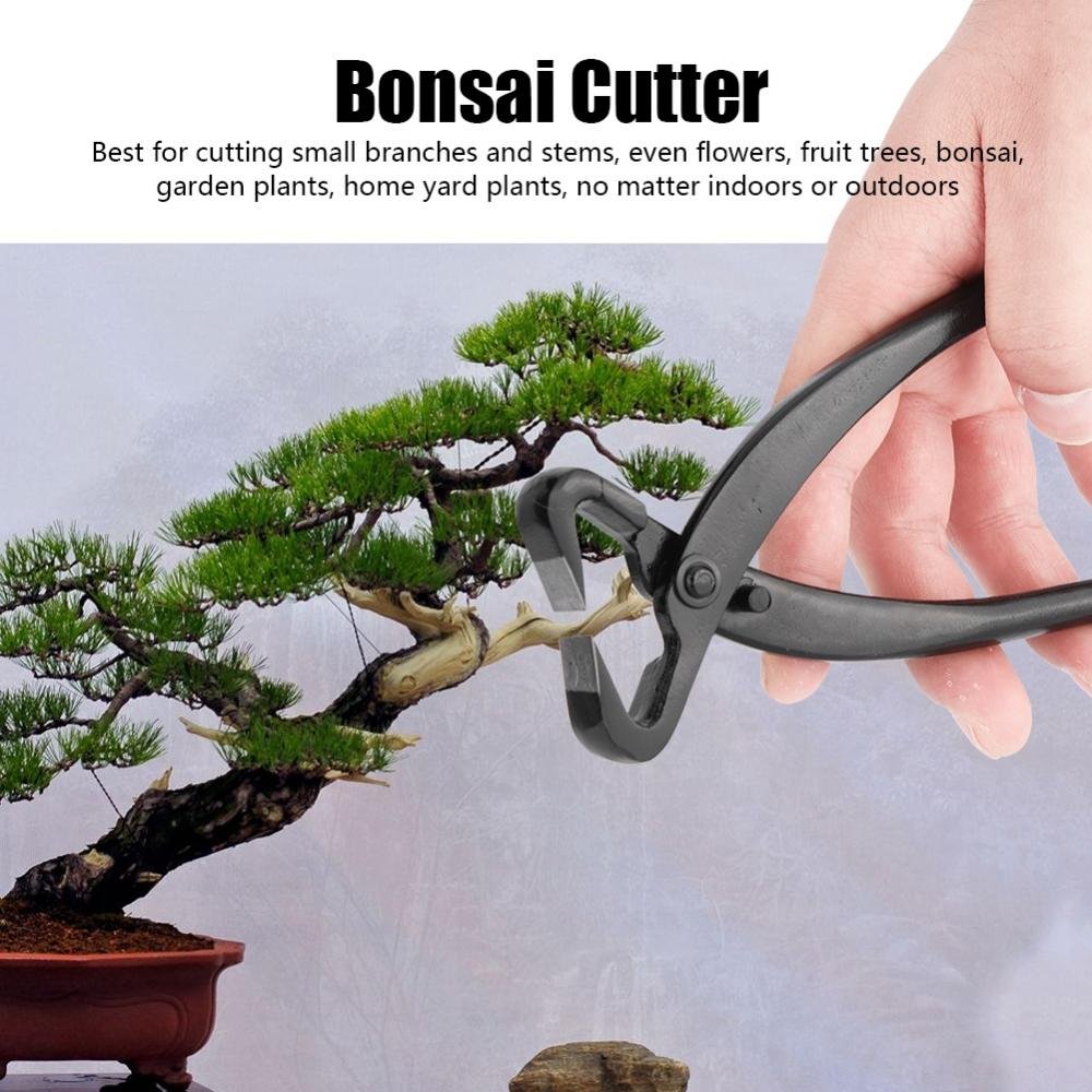 Branche, des Pinces coupantes, des Lames tranchantes de Calibre Professionnel de 210mm / 270mm de qualité Professionnelle, Outils de bonsaï de Jardin(210mm)