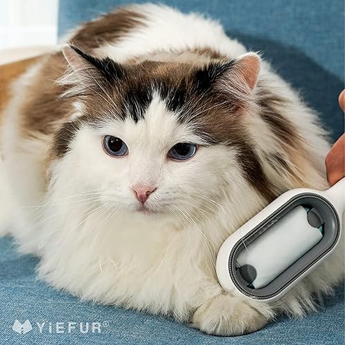 Miniatura 5 de Cepillo de aseo para gatos, cepillo largo y corto para quitar gatos de interior, verde