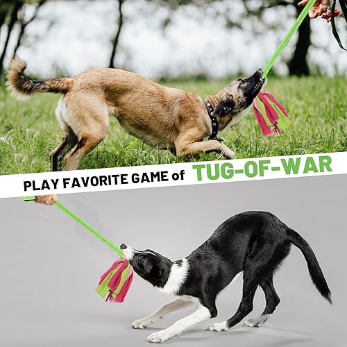 Miniatura 5 de Juguetes interactivos para perros, juguetes de cuerda para perros para masticadores agresivos, juguetes resistentes para perros de tira y afloja,